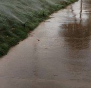 Irrigation System Watering Sidewalk