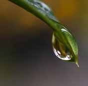 Sustainable Water Drop by William Warby